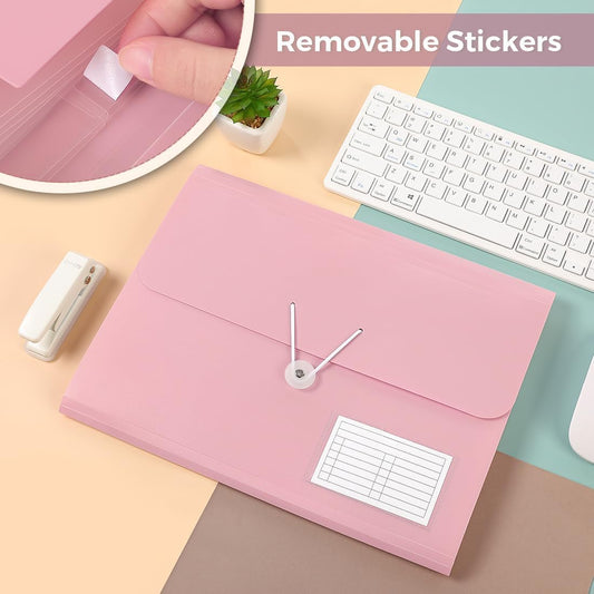 SKYDUE Expanding File Folder, Accordion File Organizer with 13 Pockets for A4/Letter Sized Paper, Accordion Folder with Labels - Document Receipt Organizer for Office, School, Home