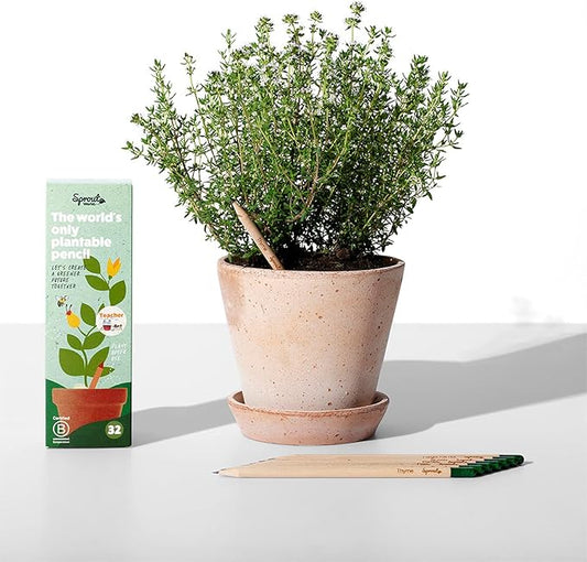 SproutWorld Wood-Cased Pencils | Teacher's Edition | HB Pre-Sharpened Graphite Plantable Wooden Pencils with flower, Herb & Vegetable Seeds | Gift for Teachers, Creative Kids & Students | 32 Pack
