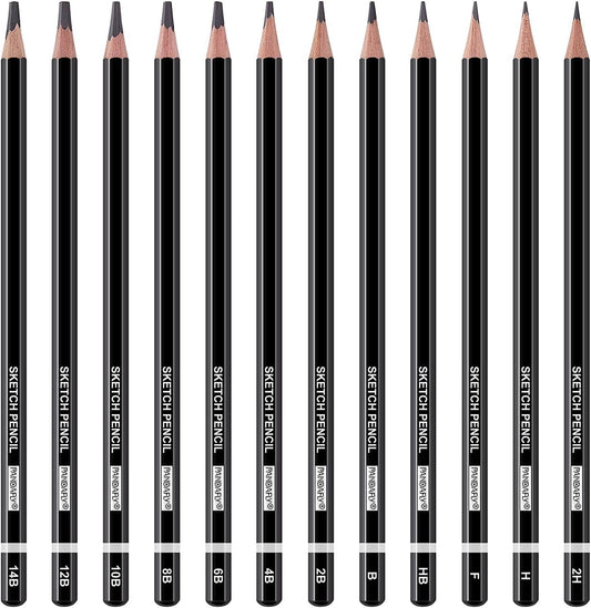 PANDAFLY Professional Drawing Sketching Pencil Set - 12 Pieces Graphite Pencils(14B - 2H), Ideal for Drawing Art, Sketching, Shading, Artist Pencils for Beginners & Pro Artists