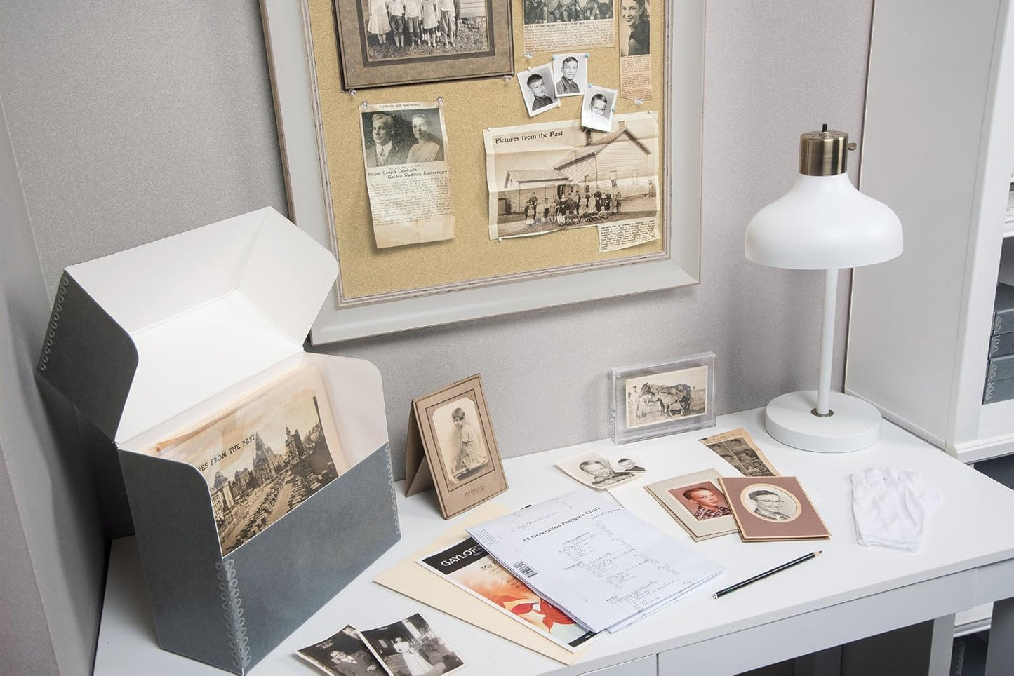 Gaylord Archival Polyester 8 x 10" Photo & Document Envelopes (10-Pack)