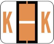 Doctor Stuff - File Folder Labels, Alphabet Letter K Stickers, Compatible with Smead BCCR/BCCS - TPAM Series Alpha Stickers Fluorescent Orange, 1" x 1-1/4", 120 Labels per Package