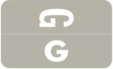 Doctor Stuff - File Folder Labels, Alphabet Letter G, Compatible with Smead Alpha Z Acc/ACCS - SMSM Series Alpha Stickers Gray, 1-5/8" x 1”, 250/Roll
