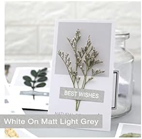 COLORTY Replacement for Brother P-Touch Label Maker Tape TZe 12mm 0.47 Laminated Compatible with Brother P Touch Label Maker PT-D210 PT-H110 PT-D400AD PT-P710BT TZe-231 Pastel Tape Cassette, 6 Pack