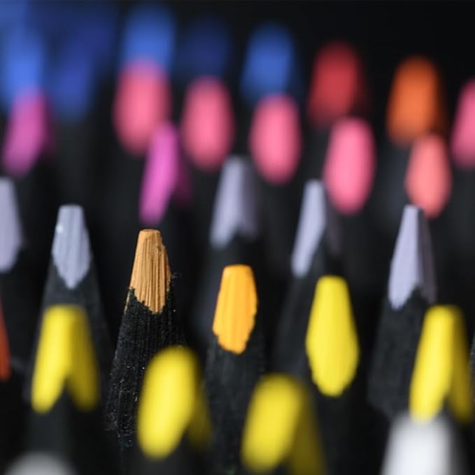 Faber-Castell Black Edition Colored Pencils, Classic 1 Count (Pack of 24)