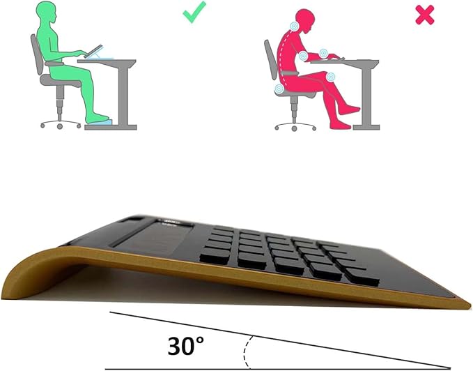Solar Gold Standard Function Desktop LCD 10-Digit Calculator for Office, Home (Black)