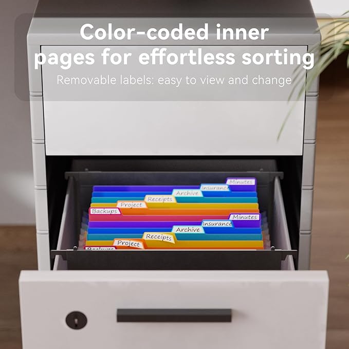 ThinkTex Plastic Expanding Hanging File Folders,12 Accordion Pockets,Large Capacity for Letter Size, Organizer for Filing Cabinet,Ideal for Tax,Contracts,Invoices,for Office,School-black-2set