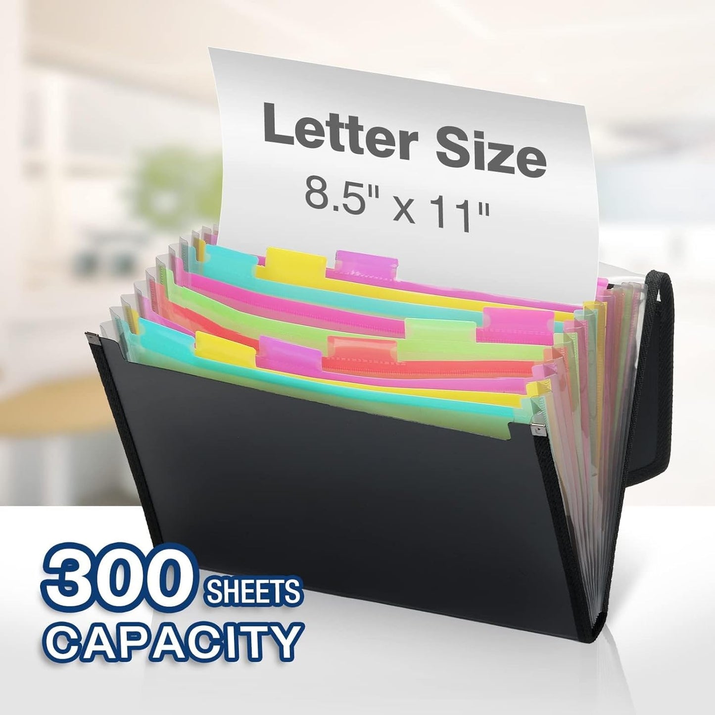 H4D Accordian File Organizer, 13 Pocket Expanding File Folder with Labels for Documents, Letter Size, 2 Packs