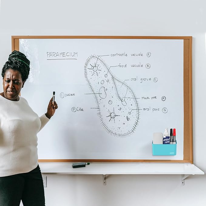 loukin Magnetic Marker & Remote Control Organizer, Dry Erase Marker Holder, Magnetic Storage for Whiteboard or Refrigerators (Sky Blue)