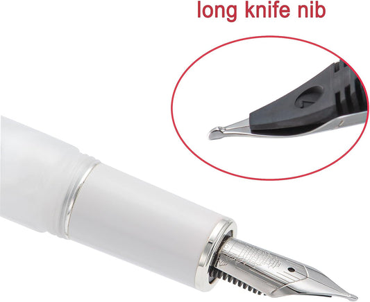 Hongdian N8 White Acrylic Resin Fountain Pen, Long Blade Fine Nib Silver Plated Feather Carving Cap Smooth Writing Pen with Converter and Metal Pen Box Set