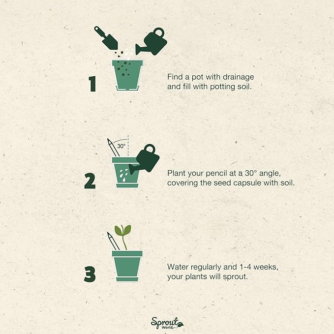 SproutWorld Wood-Cased Pencils | Teacher's Edition | HB Pre-Sharpened Graphite Plantable Wooden Pencils with flower, Herb & Vegetable Seeds | Gift for Teachers, Creative Kids & Students | 32 Pack