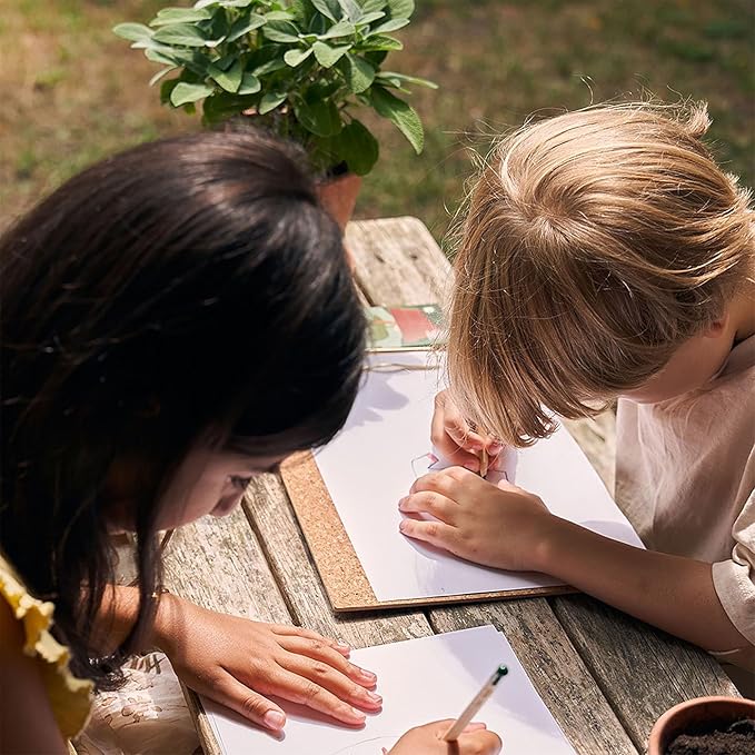 SproutWorld Wood-Cased Pencils | Teacher's Edition | HB Pre-Sharpened Graphite Plantable Wooden Pencils with flower, Herb & Vegetable Seeds | Gift for Teachers, Creative Kids & Students | 32 Pack