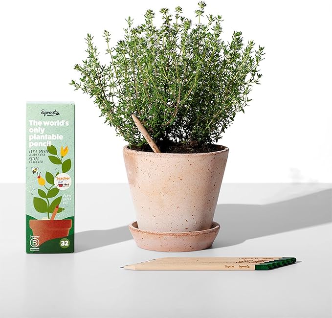 SproutWorld Wood-Cased Pencils | Teacher's Edition | HB Pre-Sharpened Graphite Plantable Wooden Pencils with flower, Herb & Vegetable Seeds | Gift for Teachers, Creative Kids & Students | 32 Pack