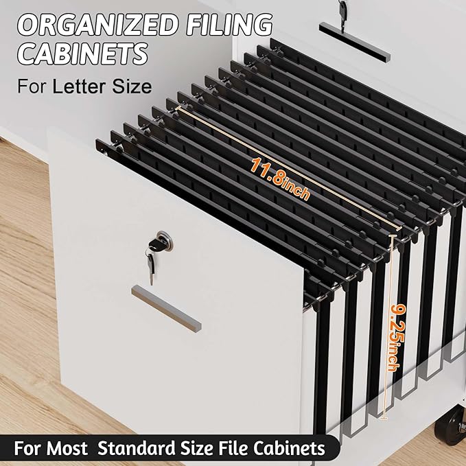 Plastic Hanging File Folders Letter Size,1 Inch Expansion,12 Pack Reinforced Black Hanging Folders with Heavy Duty,Hanging File Folders with Tabs,Durable File Cabinet Folders