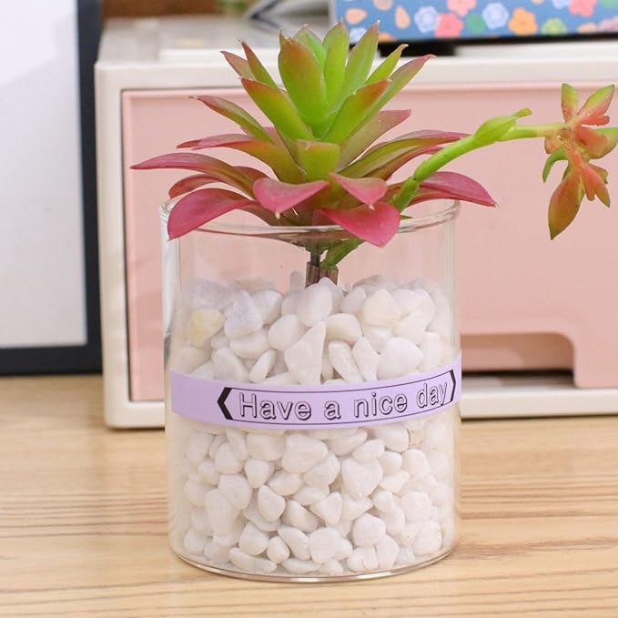 COLORTY TZ-231 12mm Pastel Tape Replacement for Brother P-Touch Label Maker Tape 0.47", Compatible TZe Lamianted Colored Ribbon for Ptouch PT-D200 D210 D220 H110 1000 1280 D400 P300BT Cube, 6 Pack