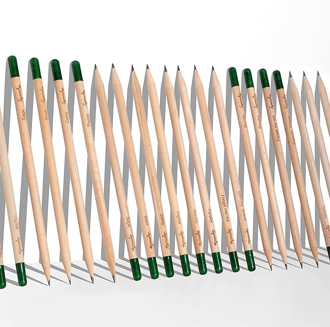 SproutWorld Wood-Cased Pencils | Teacher's Edition | HB Pre-Sharpened Graphite Plantable Wooden Pencils with flower, Herb & Vegetable Seeds | Gift for Teachers, Creative Kids & Students | 32 Pack
