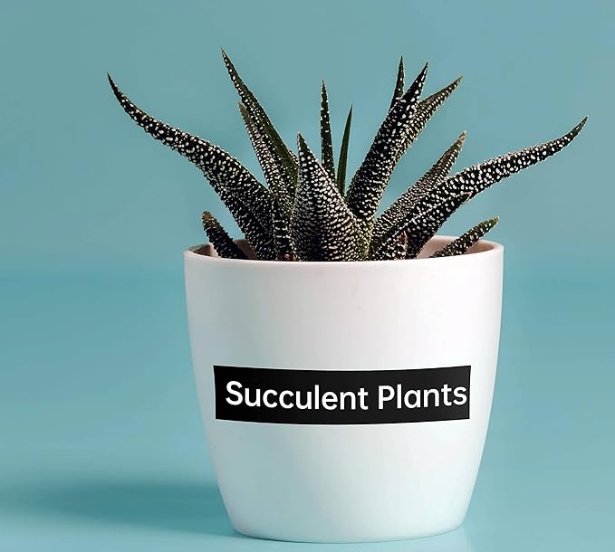 TZe-335 Label Tape Black Replacement for Brother P-Touch Tape White on Black 12mm 0.47 Laminated Compatible with Brother Ptouch D210 PTH110 PTD220 PT-1830 PT-1280 PT-1180 Label Maker, 4-Pack