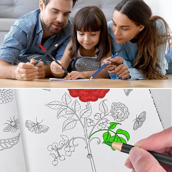 Art Supplies Drawing Kit, 74Pcs Drawing Pencils for Sketching - Include Colored, Graphite, Colored, Metallic, Charcoal Pencil, Ideal Gift for Beginners & Professional Artists Teens & Adults