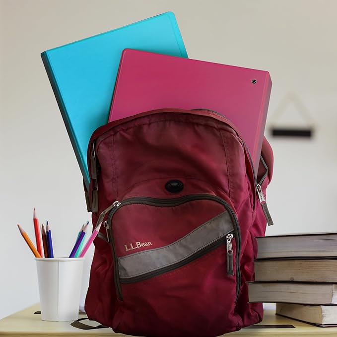 Samsill Earth’s Choice™, Durable Fashion Color 3 Ring View Binder, 3 Inch Round Ring, Up to 25% Plant Based Plastic, Eco-Friendly, USDA Certified Biobased, Pink Berry, Value 2 Pack (U86876)