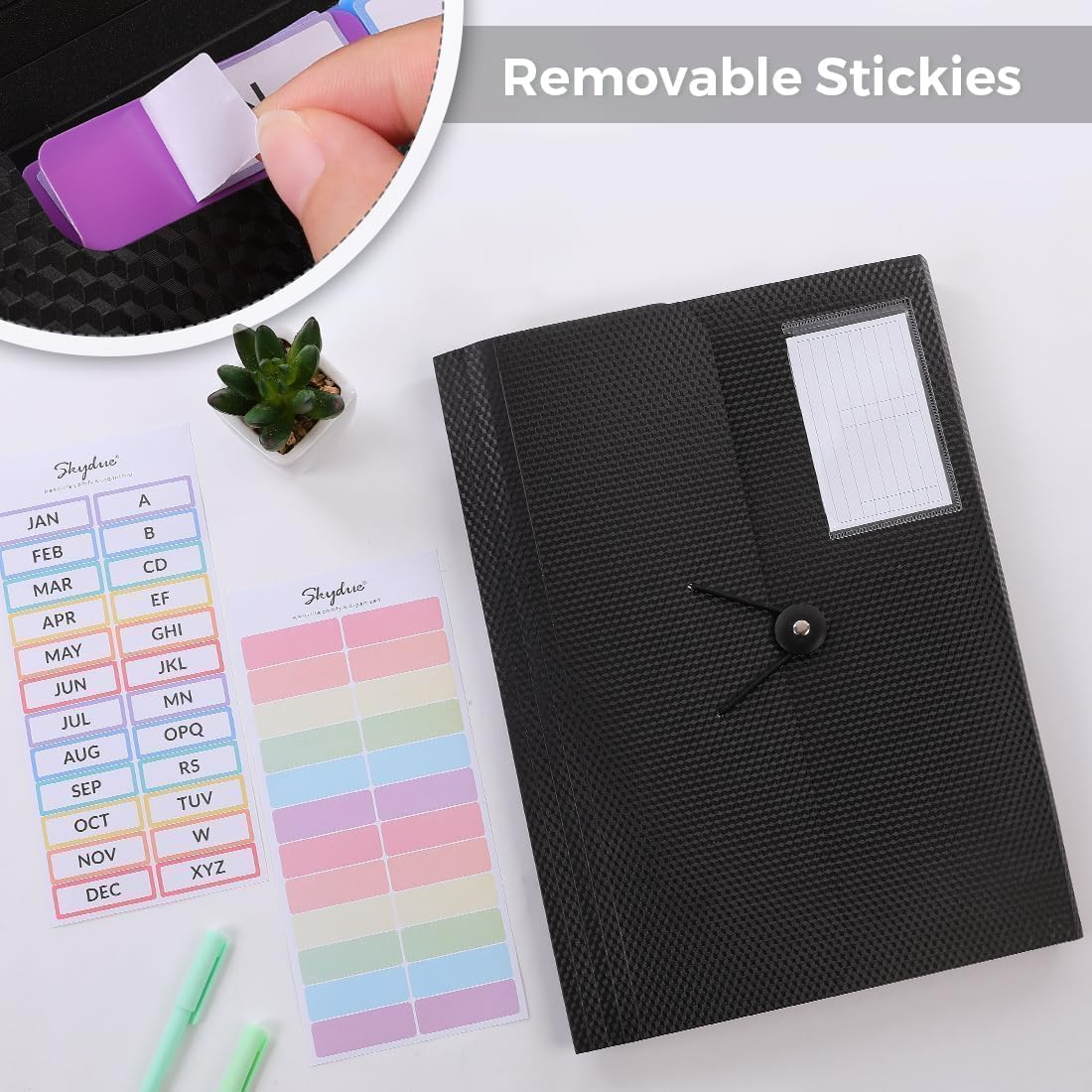 SKYDUE Expanding File Folder, Accordion File Organizer with 13 Pockets for A4/Letter Sized Paper, Accordion Folder with Labels - Document Receipt Organizer for Office, School, Home