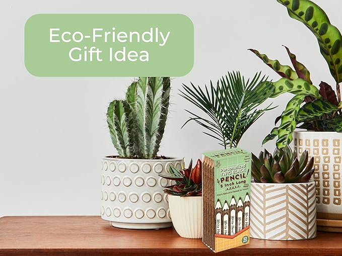 BSIRI Pencil Wood Favors of Graphite Wooden Tree Rustic Twig Pencils Birch of 12 Camping Lumberjack Decorations Party Supplies Novelty Gifts Bark Pencils Gifts (5 Inch Personalized)