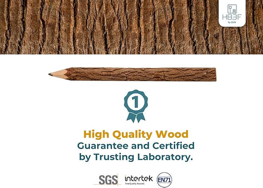 BSIRI Pencil Wood Graphite Wooden Tree Rustic Twig Pencils Birch of 12 Camping Lumberjack Decorations Party Supplies Novelty Gifts Bark Pencils Gifts for Kids in Classroom