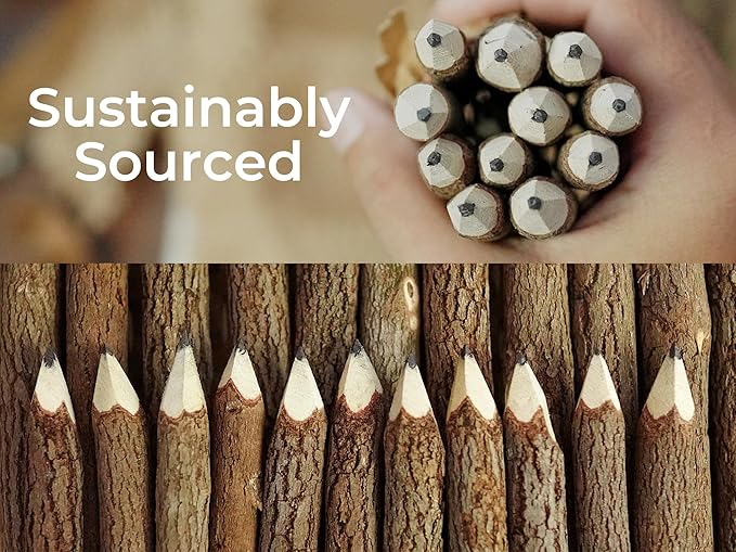 BSIRI Pencil Wood Favors of Graphite Wooden Tree Rustic Twig Pencils Birch of 12 Camping Lumberjack Decorations Party Supplies Novelty Gifts Bark Pencils Gifts (5 Inch Personalized)