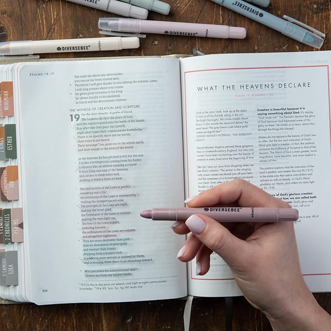 DIVERSEBEE Bible Highlighters and Pens No Bleed, 8 Pack Assorted Colors Gel Highlighters Set, Cute Bible Markers Study Journaling School Supplies and Accessories (Dusty)