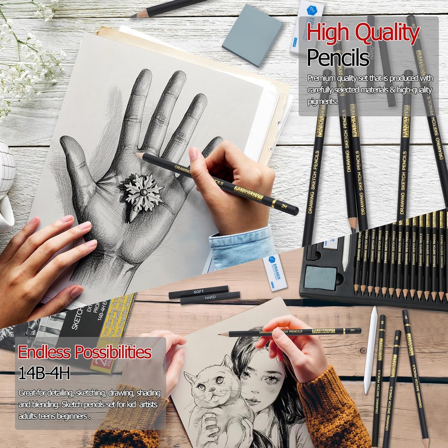 PANDAFLY 20-Piece Professional Sketch Pencil Set - Includes 4H to 14B Graphite Pencils, Charcoal Sticks, Vinyl Eraser, Kneaded Eraser, Sharpener, Blending Stump - Ideal for Artists and Beginners